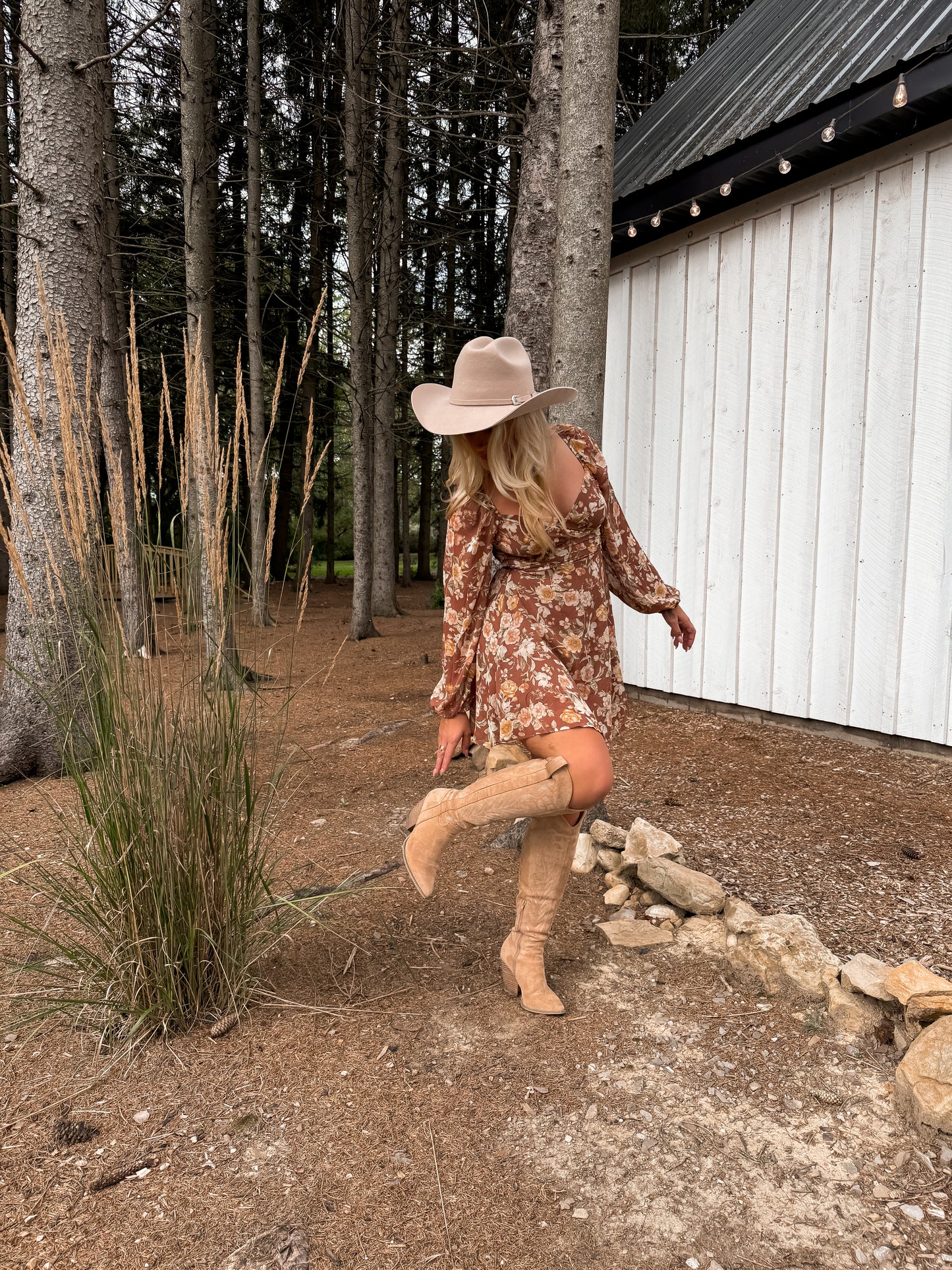 Cinnamon Rose Mini Dress