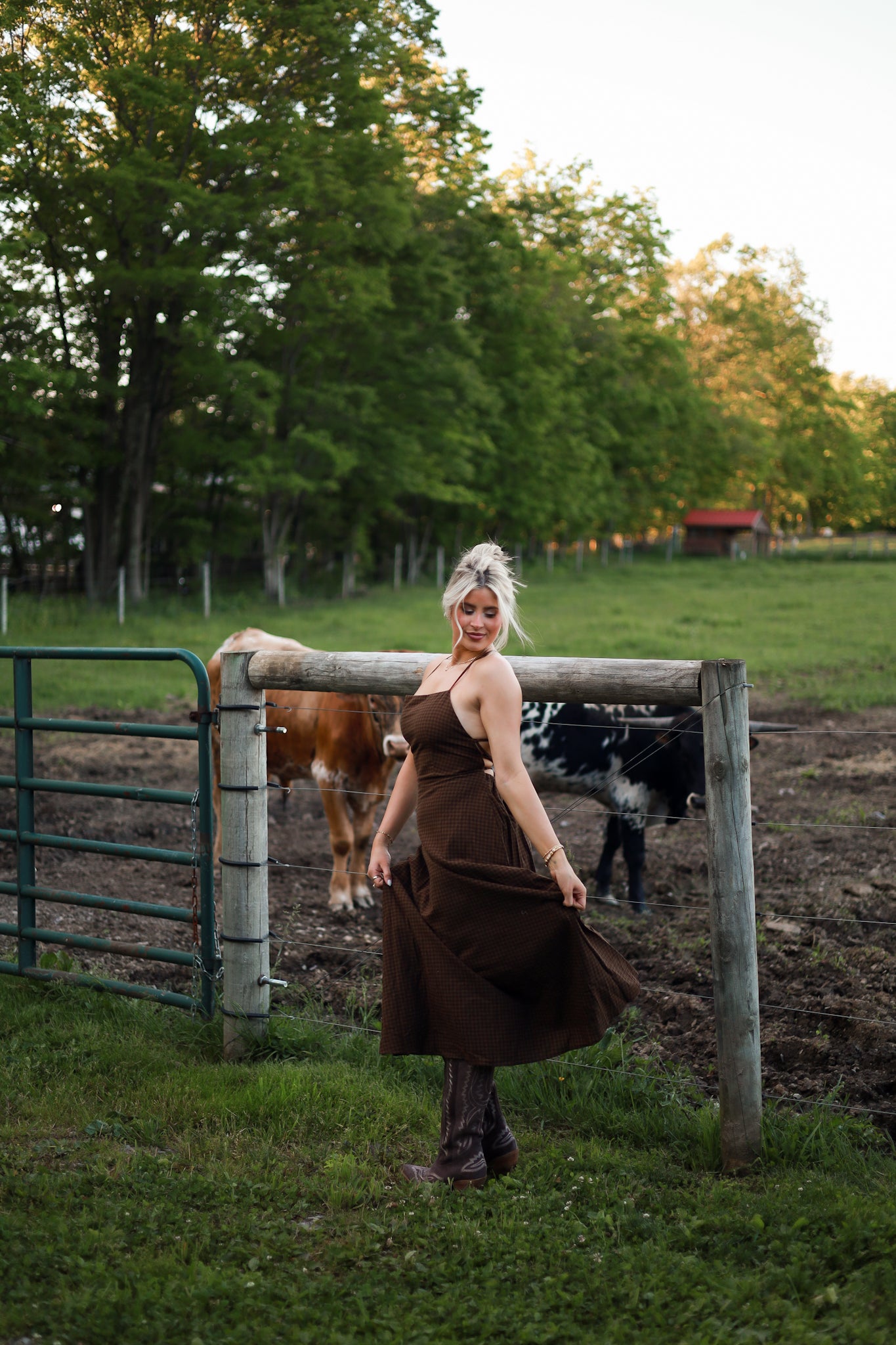 Homestead Gingham Maxi Dress - Brown