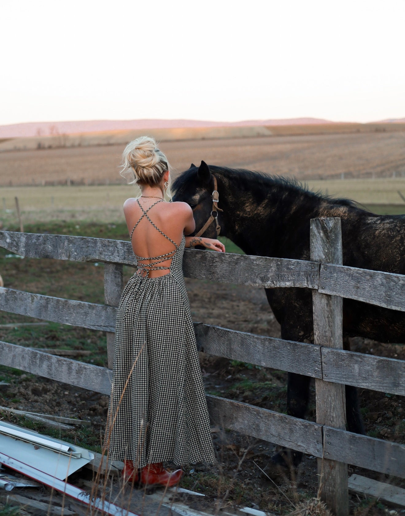 Homestead Gingham Dress
