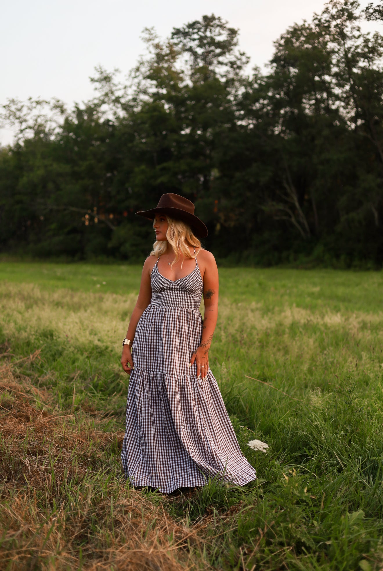 Jackson Gingham Maxi Dress - Brown