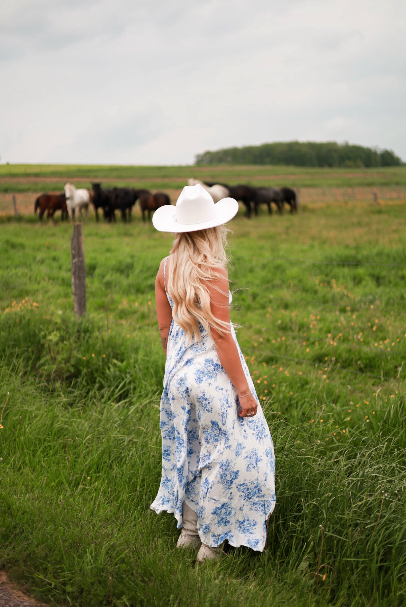 Heirloom Bleu Maxi Dress
