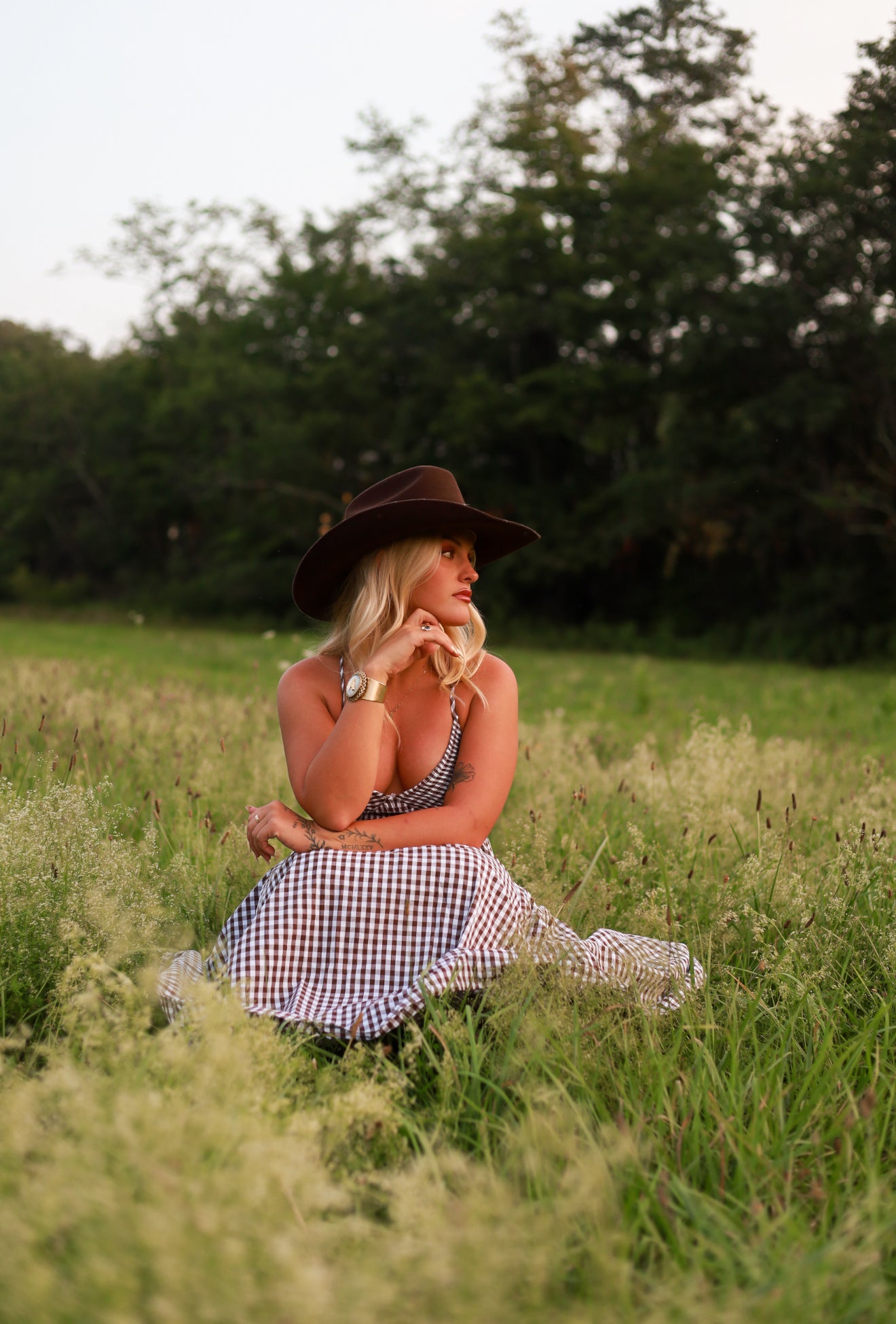 Jackson Gingham Maxi Dress - Brown