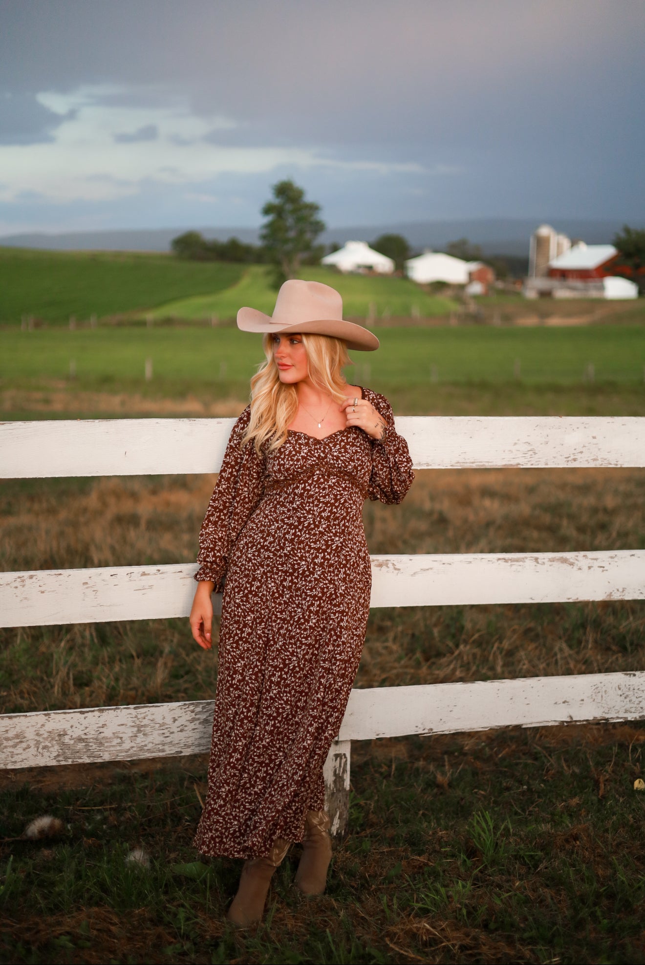 Rustic Meadow Floral Maxi Dress - Brown