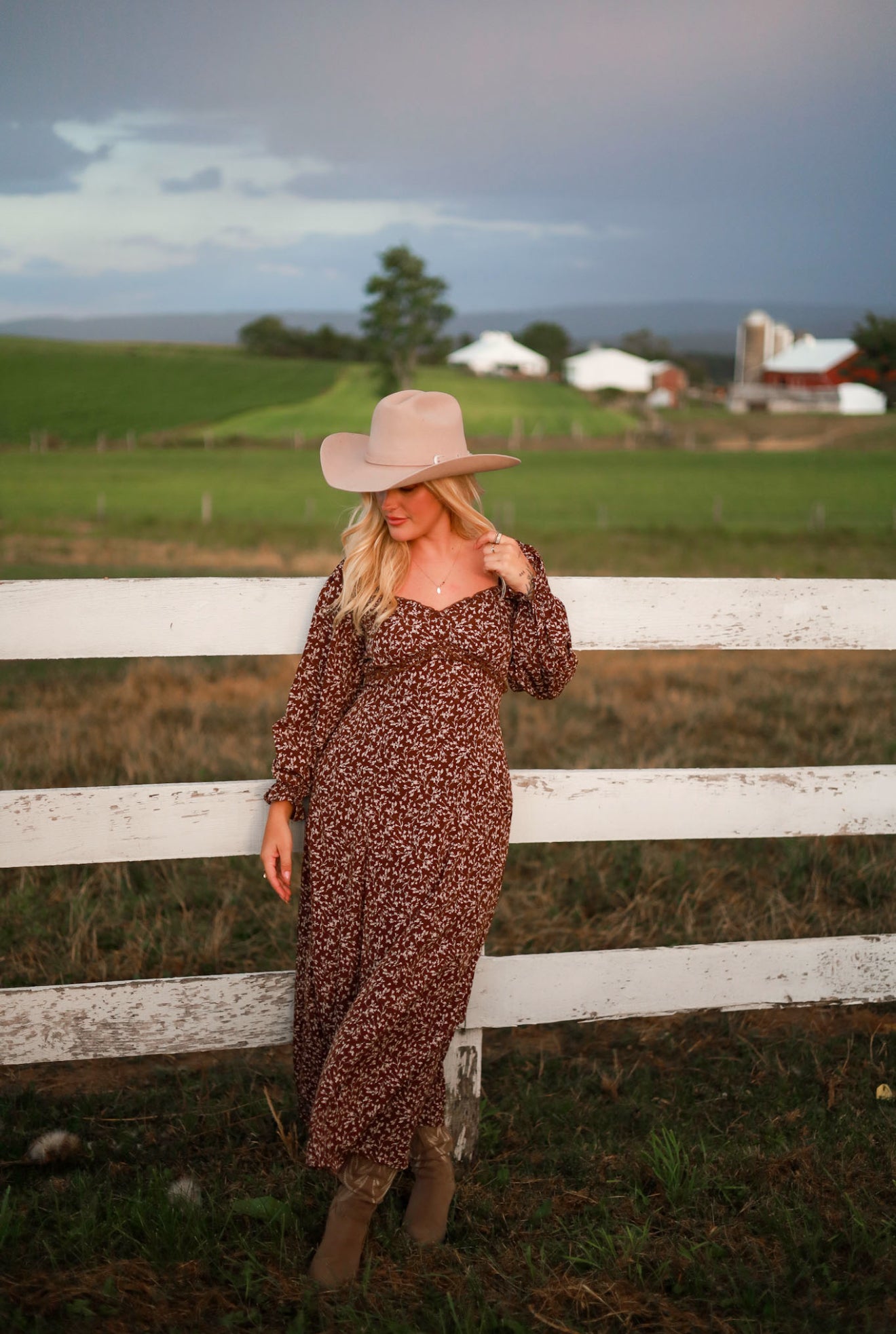 Rustic Meadow Floral Maxi Dress - Brown