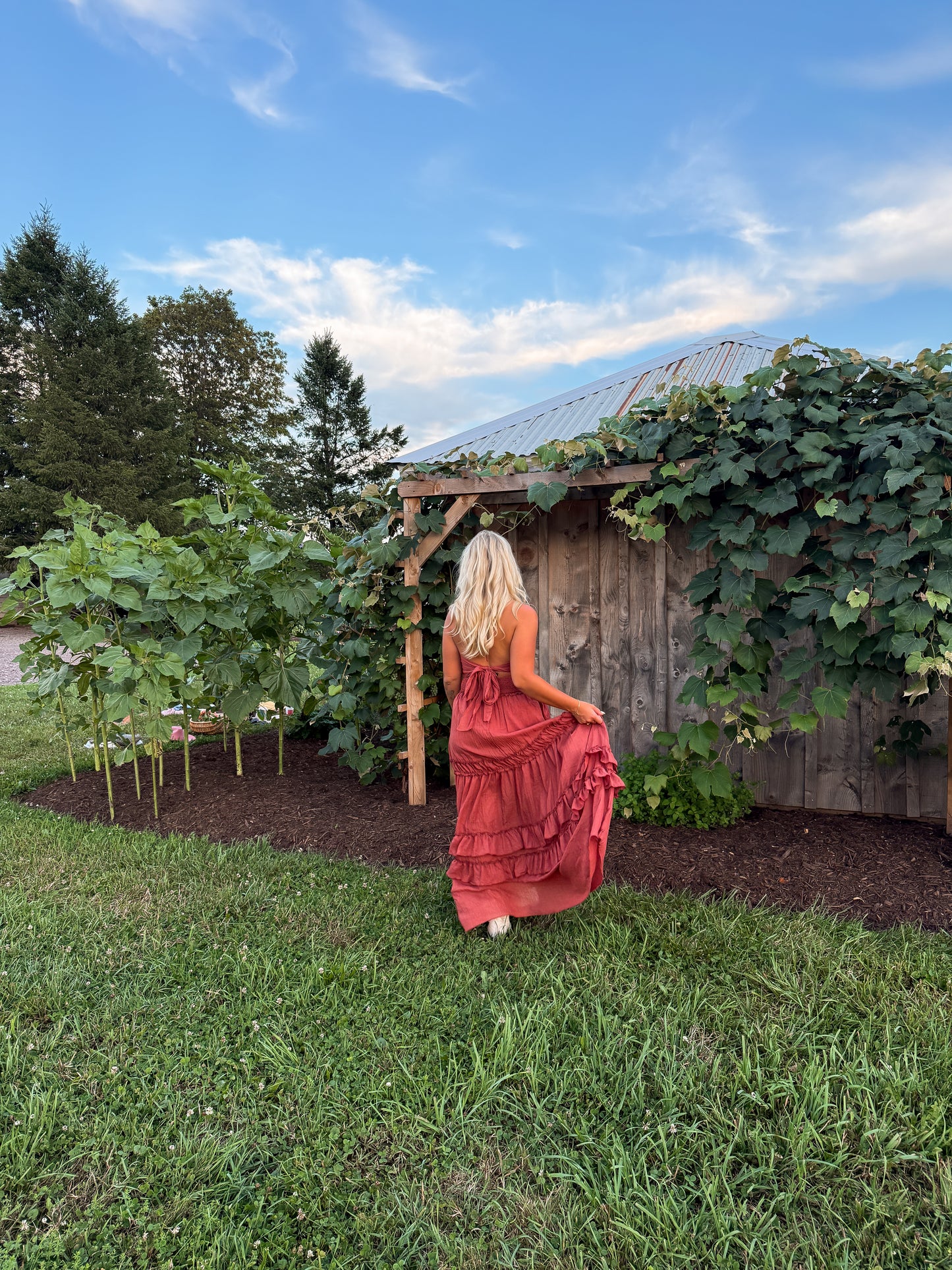 Western Shore Maxi Dress - Cider
