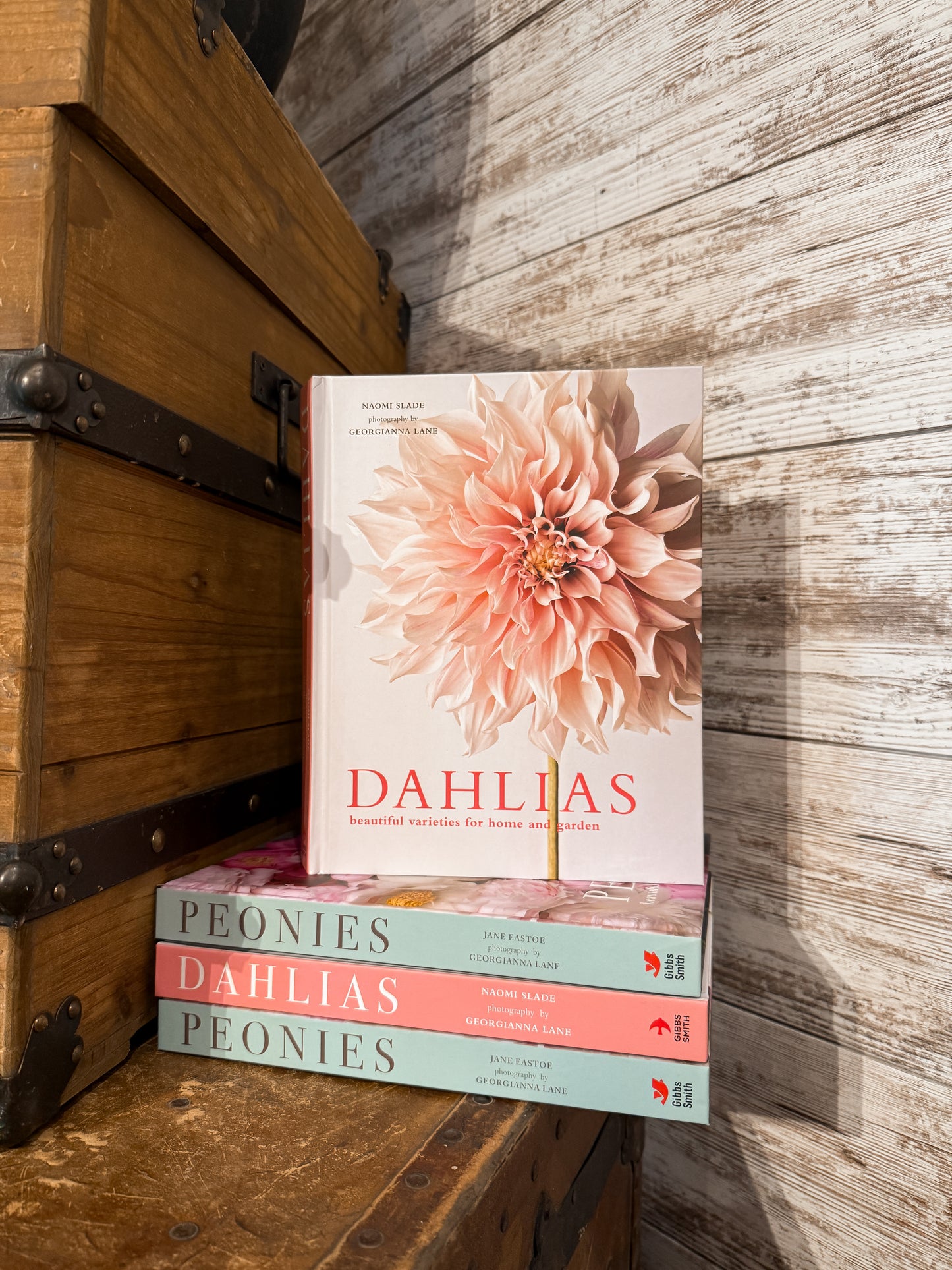 Dahlias: Coffee Table Book