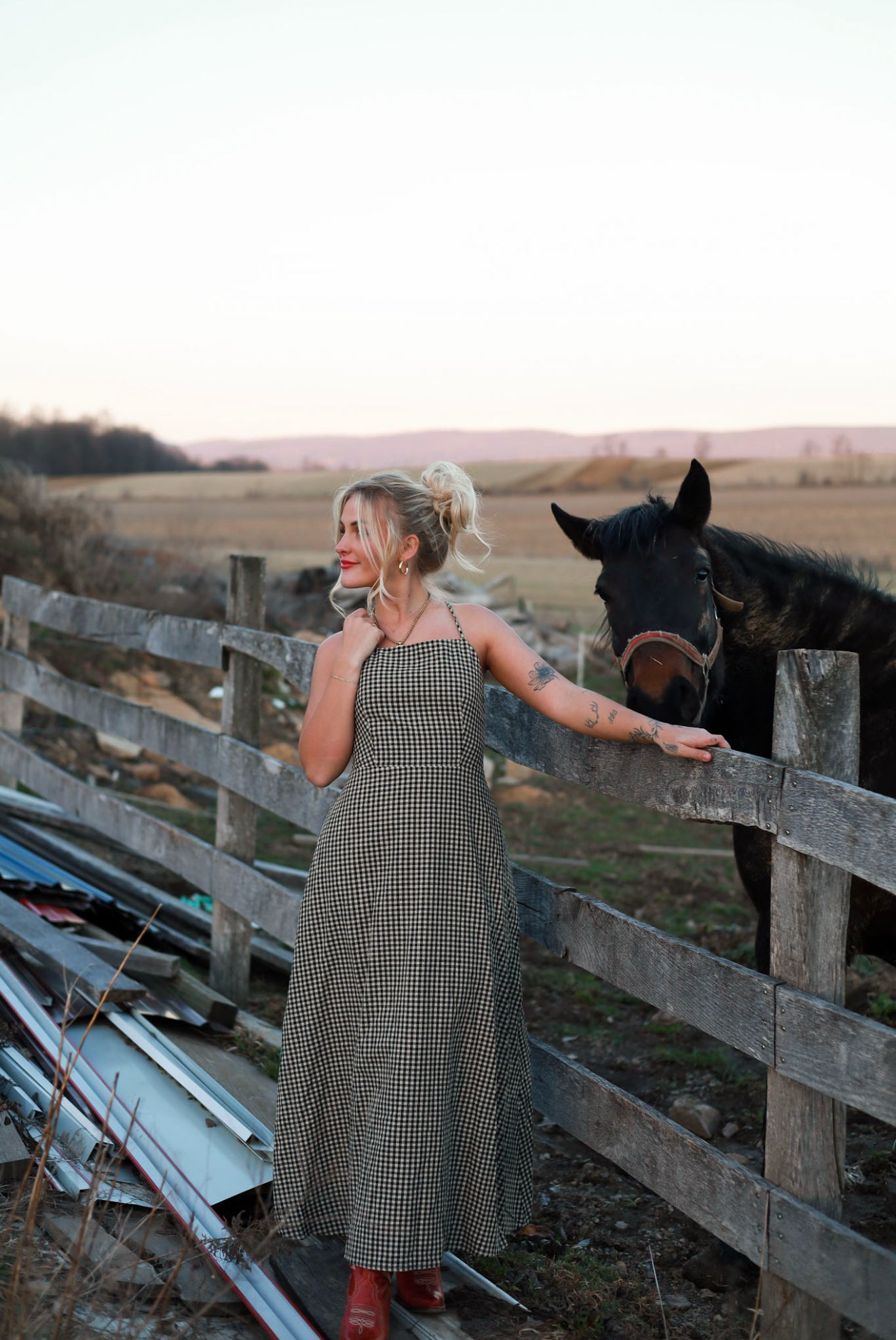Homestead Gingham Dress