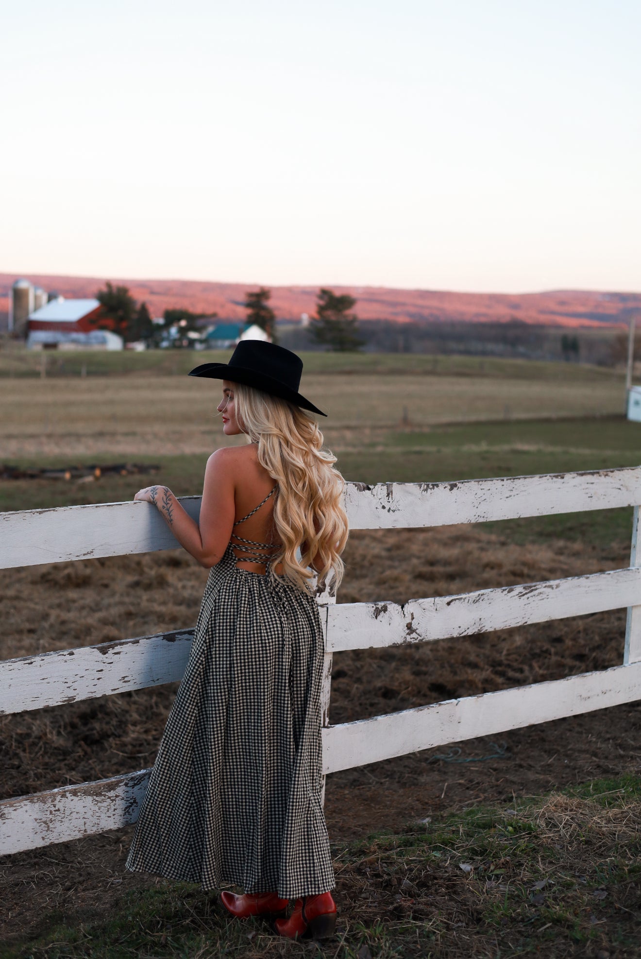 Homestead Gingham Dress