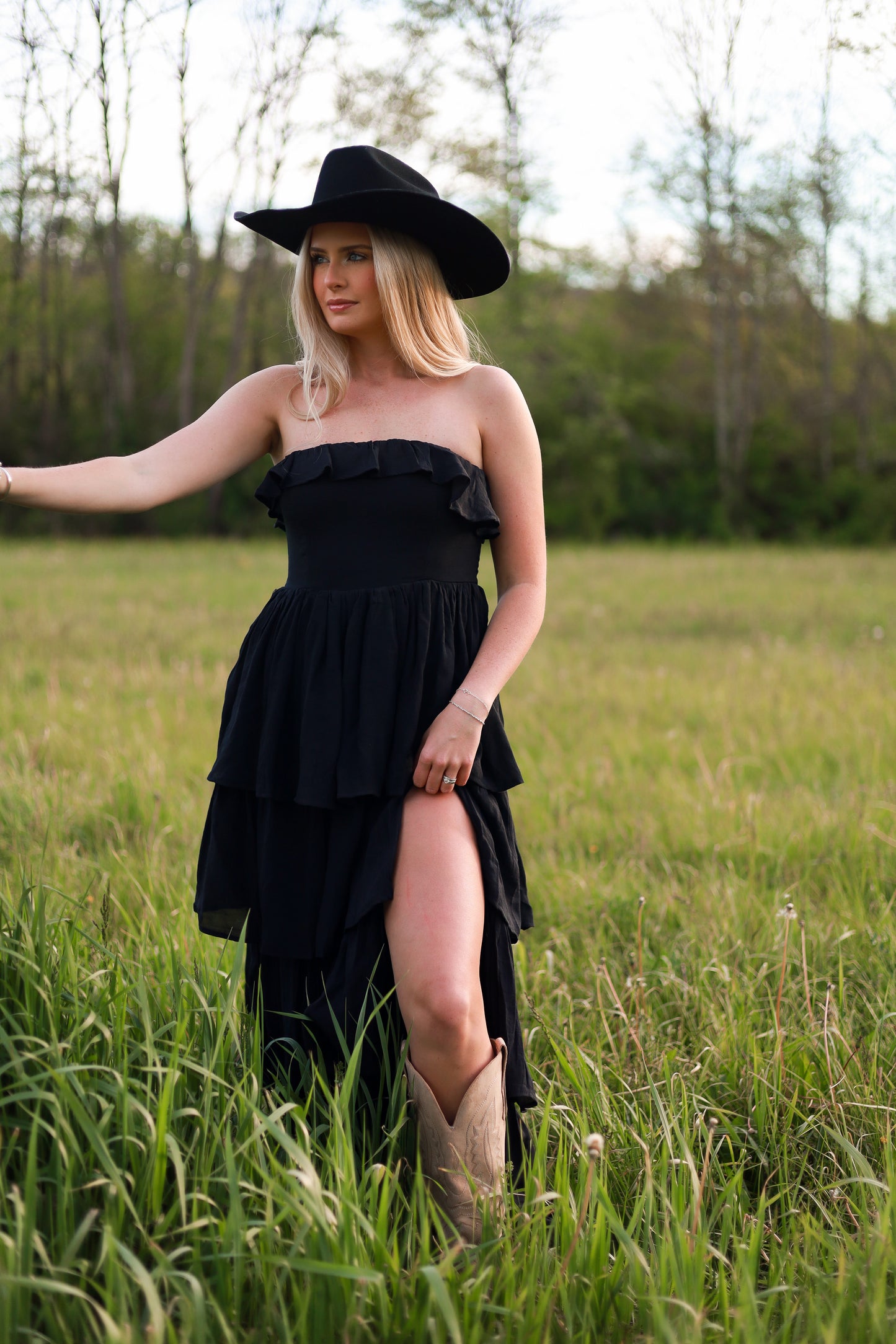 Meadow Muse Ruffle Dress - Black