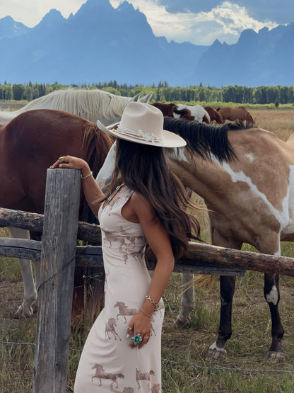 Buckskin Horse Dress