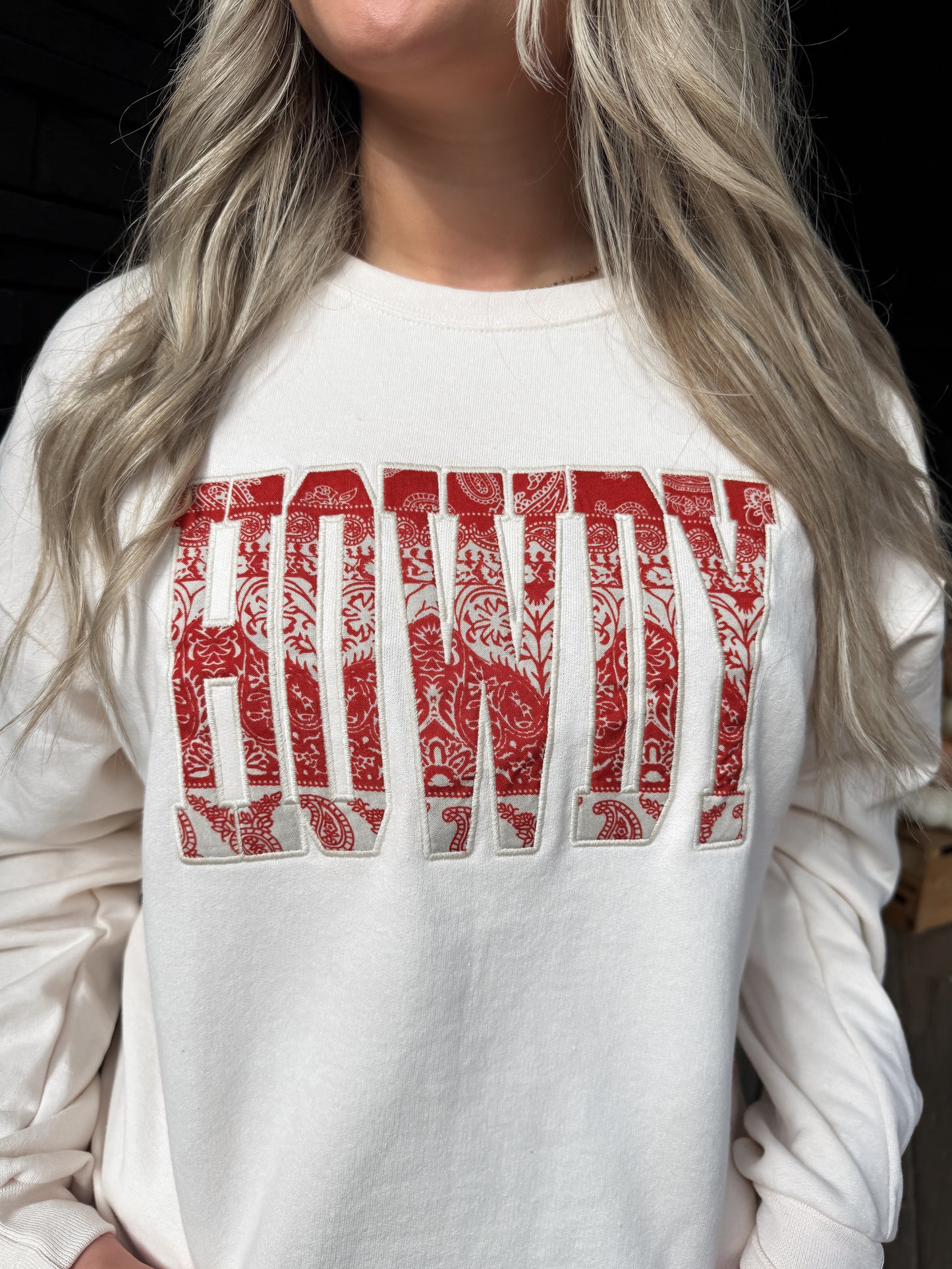 HOWDY Oversized Crewneck - Paisley