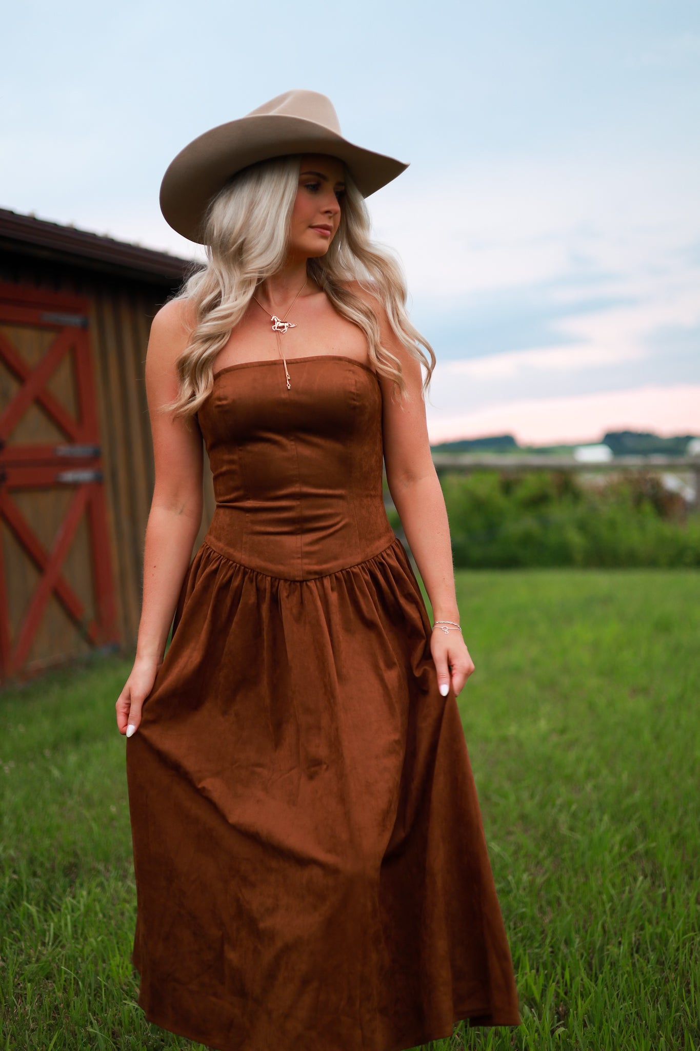 Cinnamon Fields Suede Dress