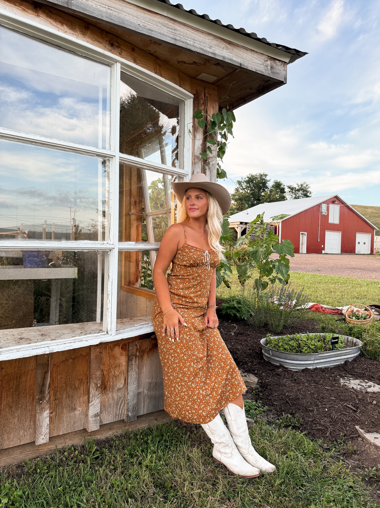 Barnflower Dress