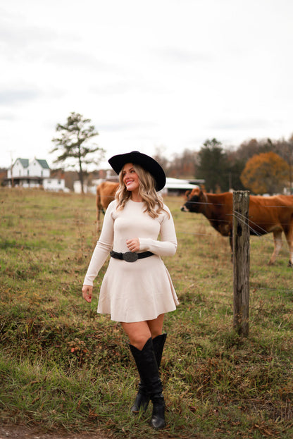 Whispering Wheat Sweater Dress