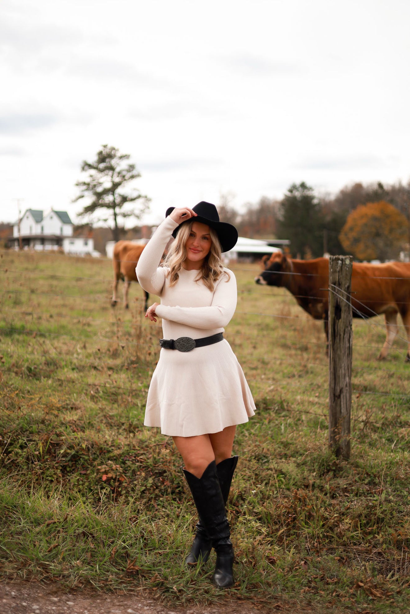 Whispering Wheat Sweater Dress