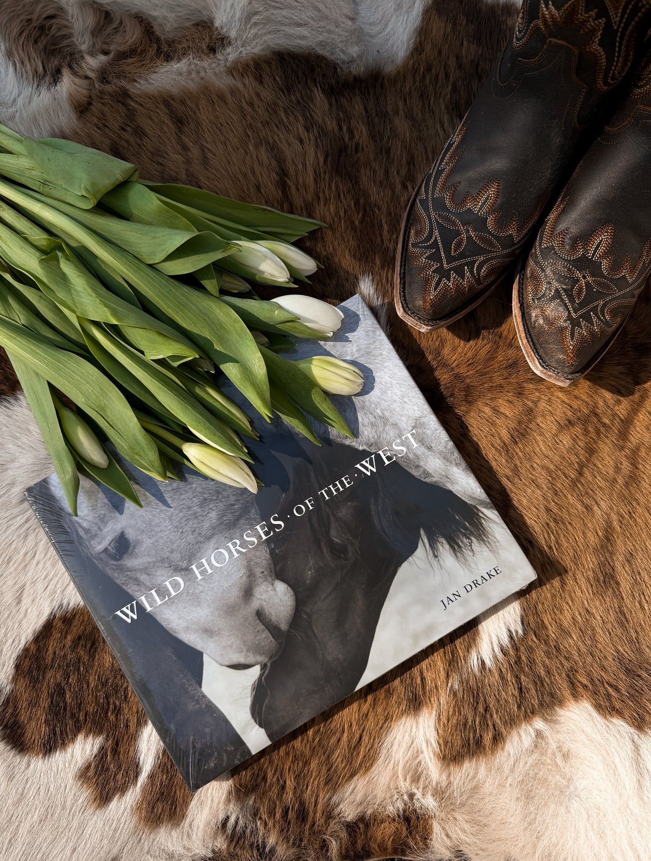 Wild Horses of the West: Coffee Table Book