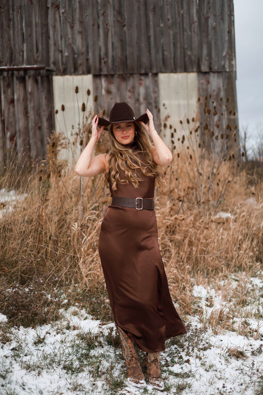 Tetons Satin Belted Dress