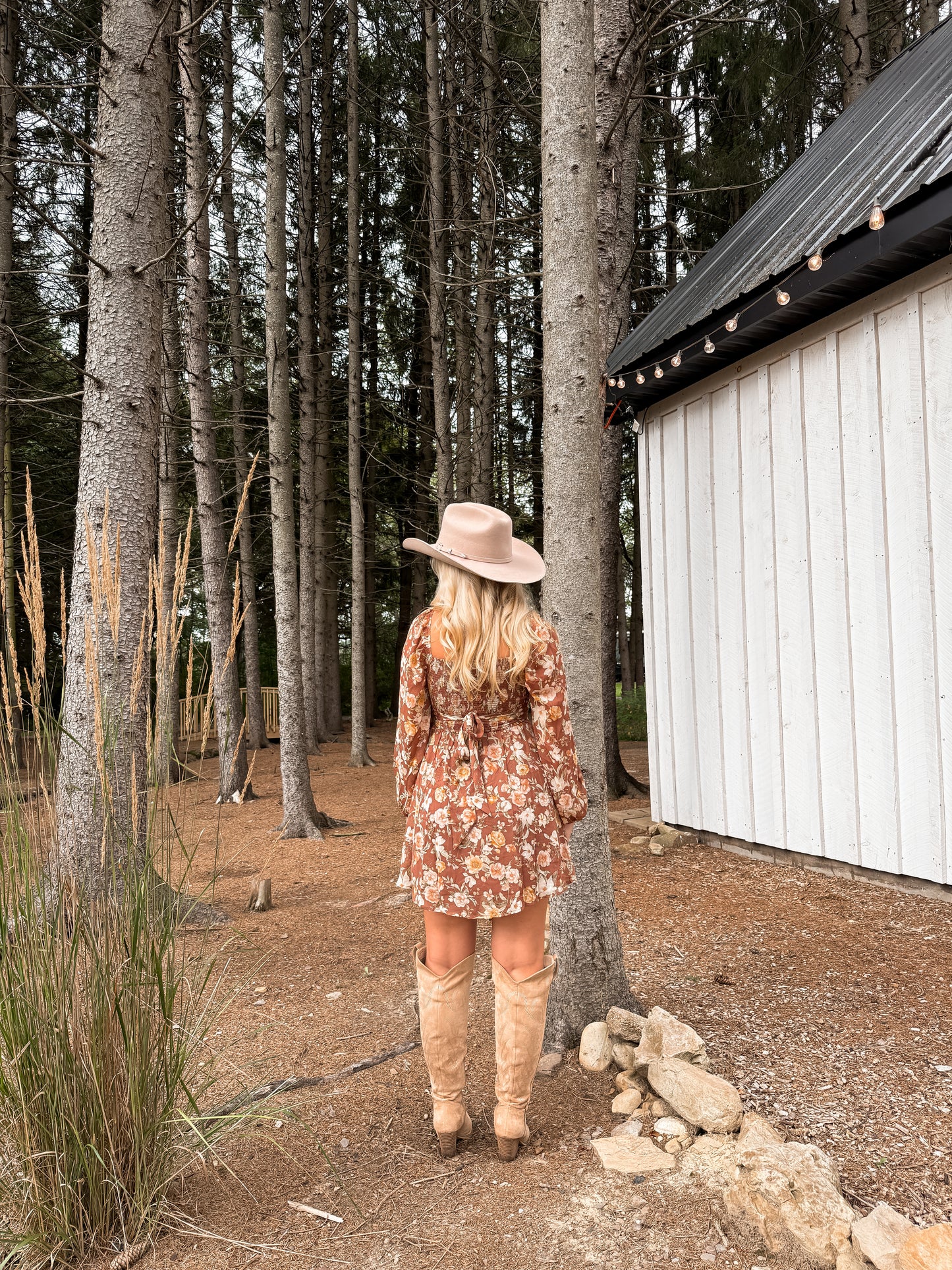 Cinnamon Rose Mini Dress