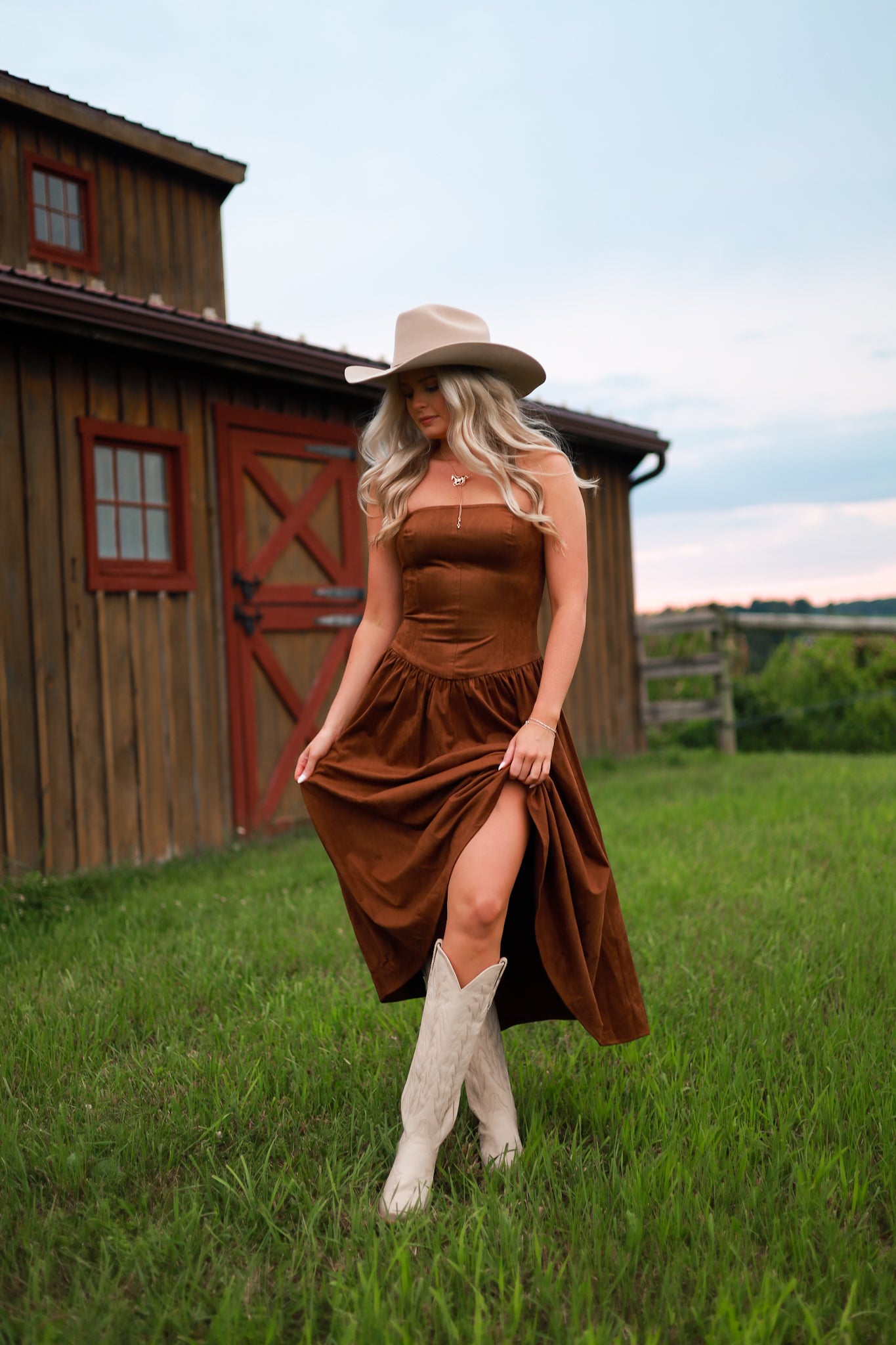 Cinnamon Fields Suede Dress