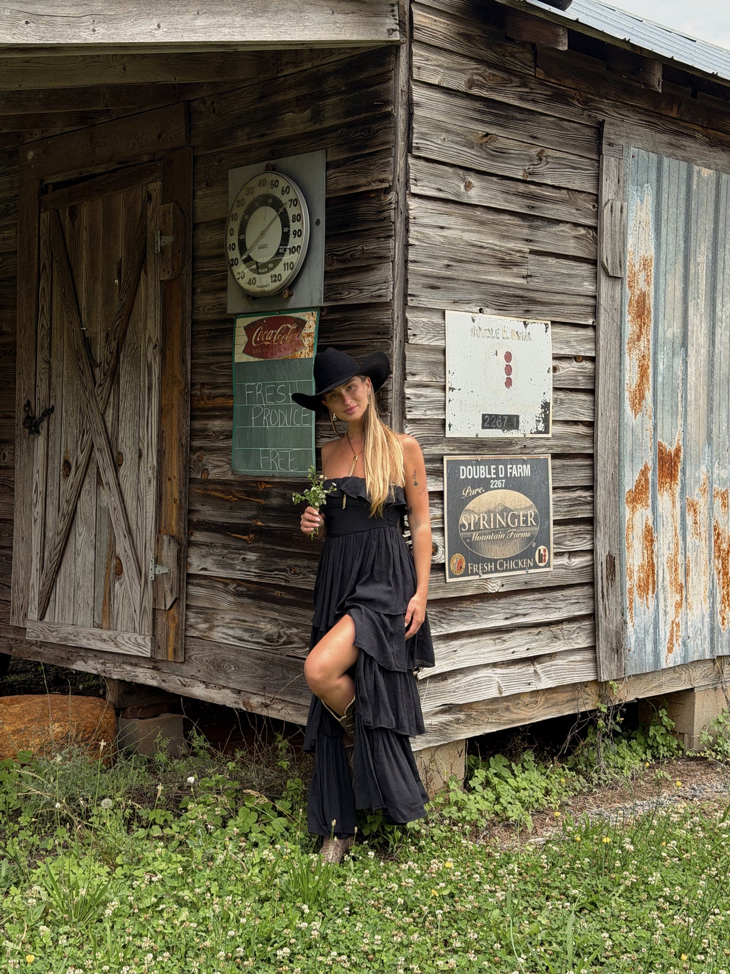 Meadow Muse Ruffle Dress - Black