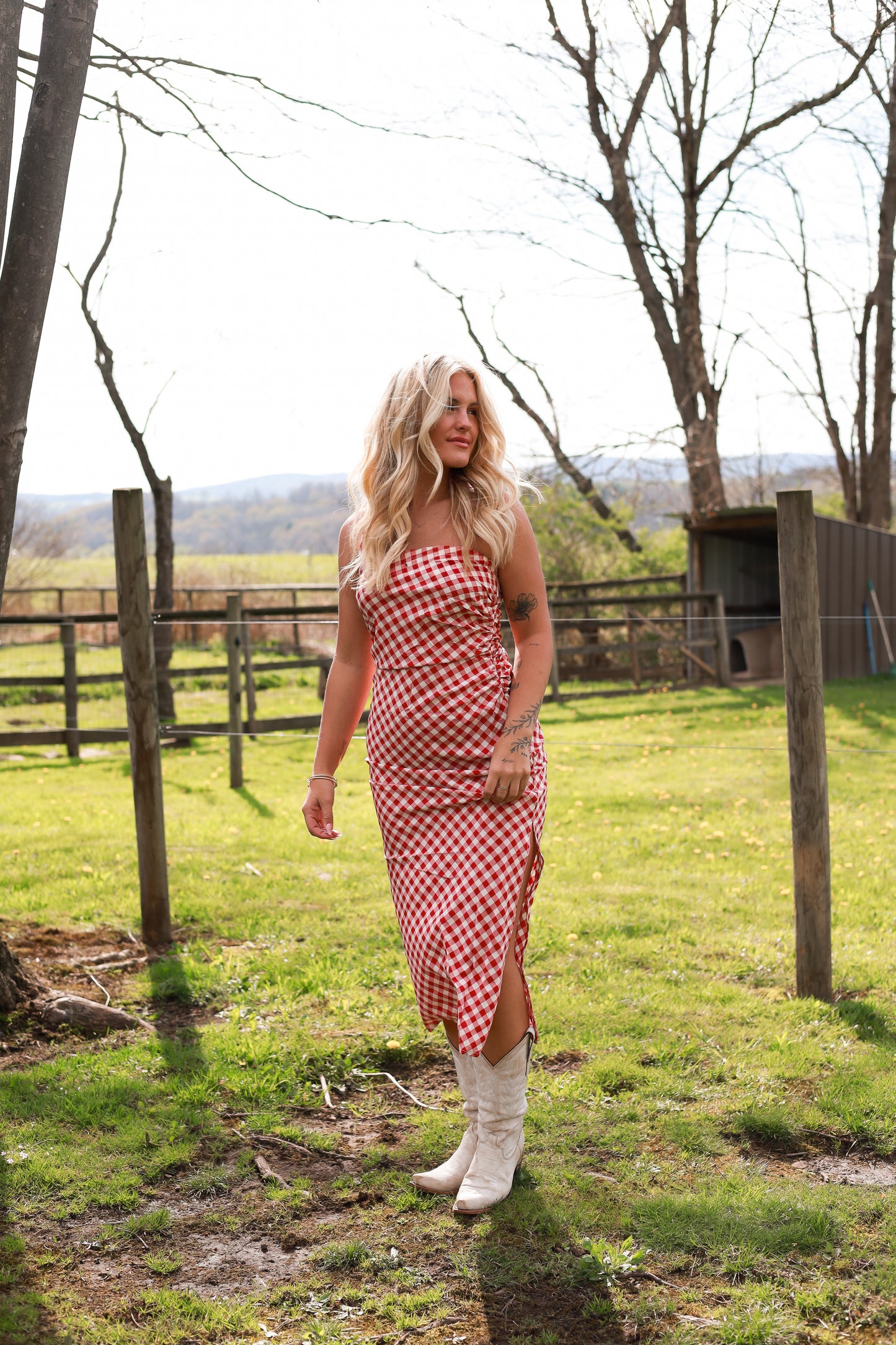 Meadow Gingham Dress - Cherry