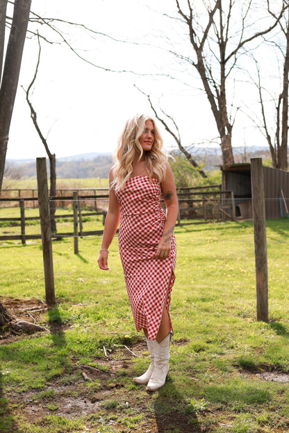 Meadow Gingham Dress - Cherry