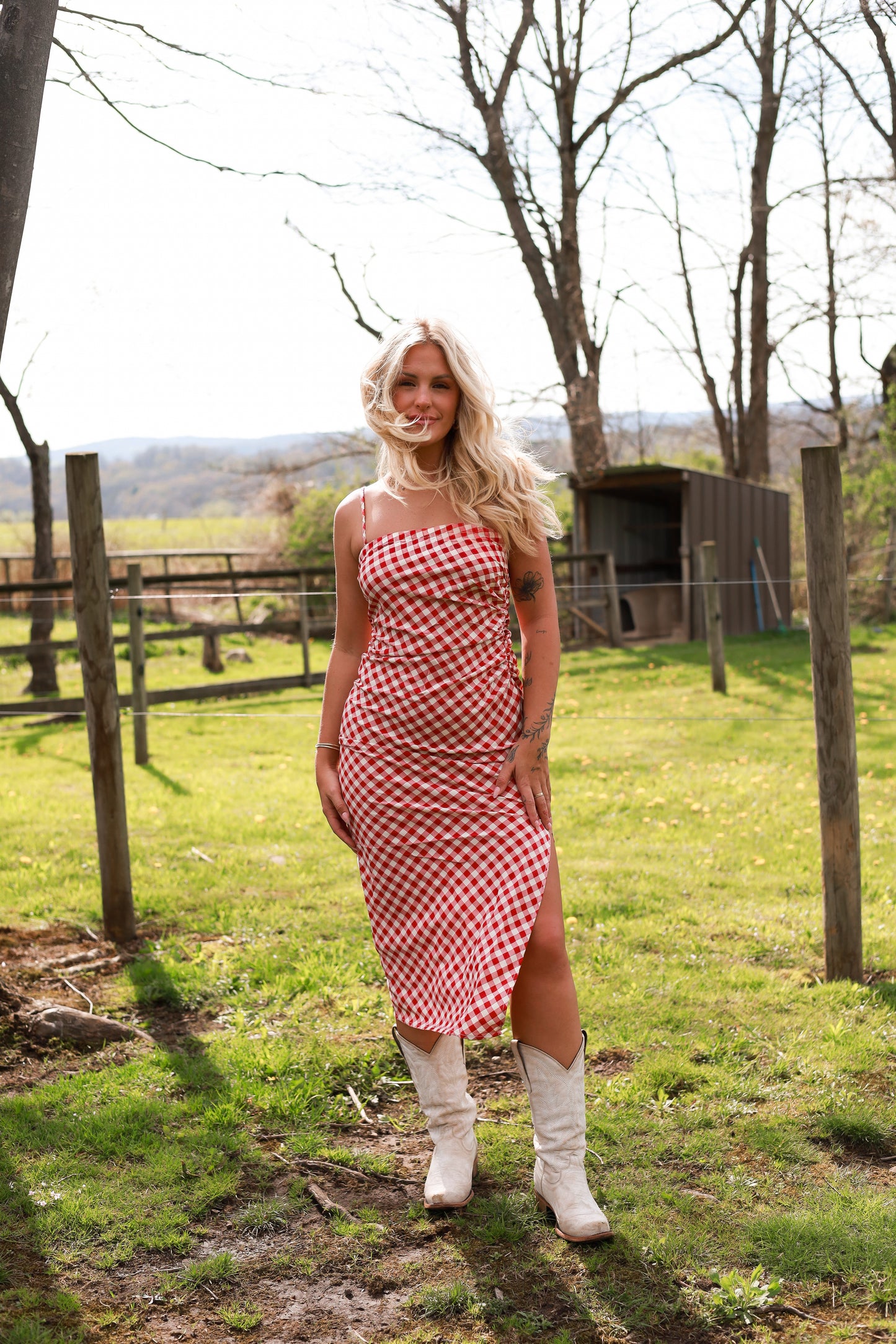 Meadow Gingham Dress - Cherry
