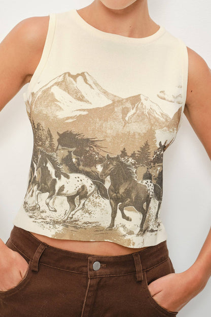 Rocky Mountain Top