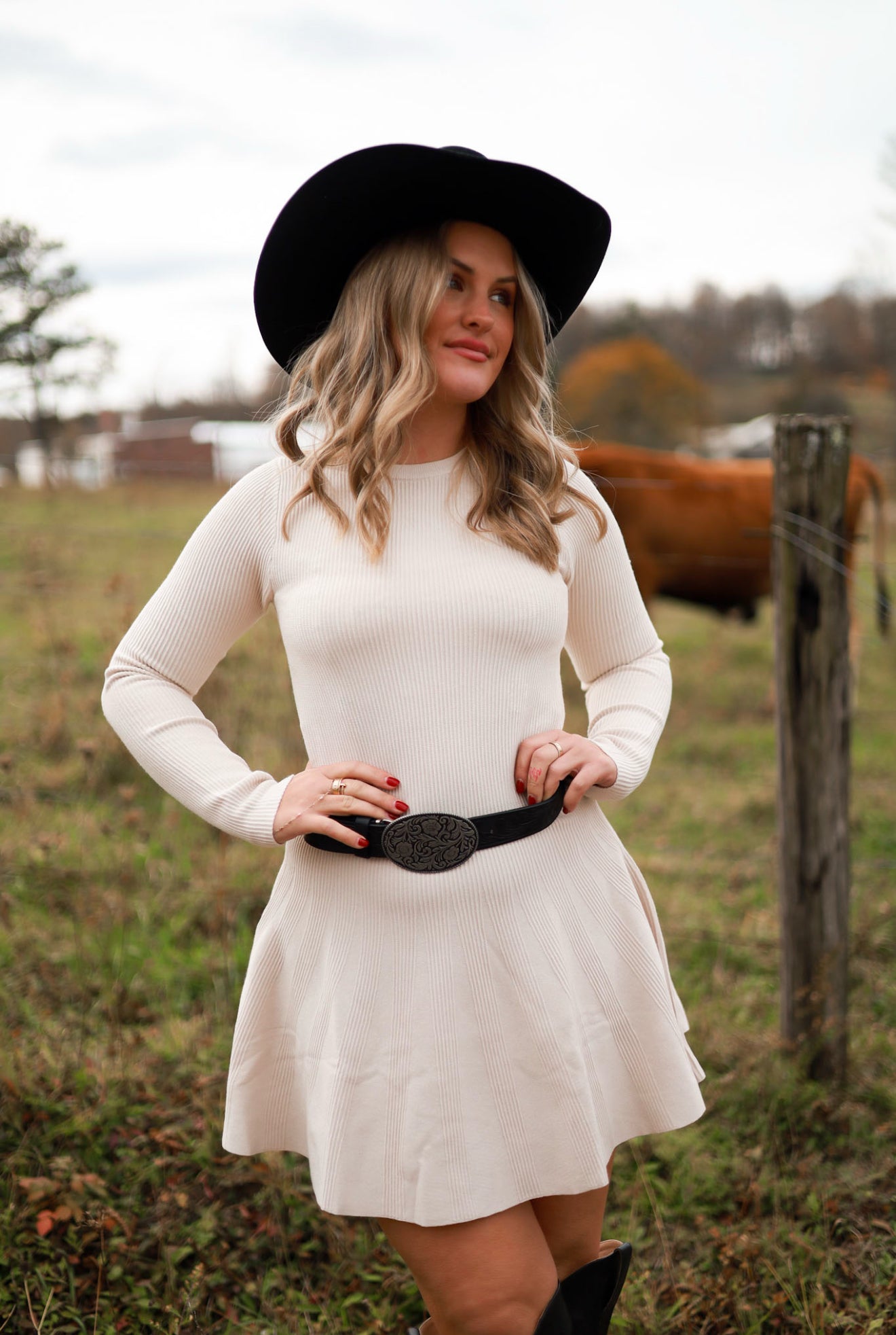 Whispering Wheat Sweater Dress