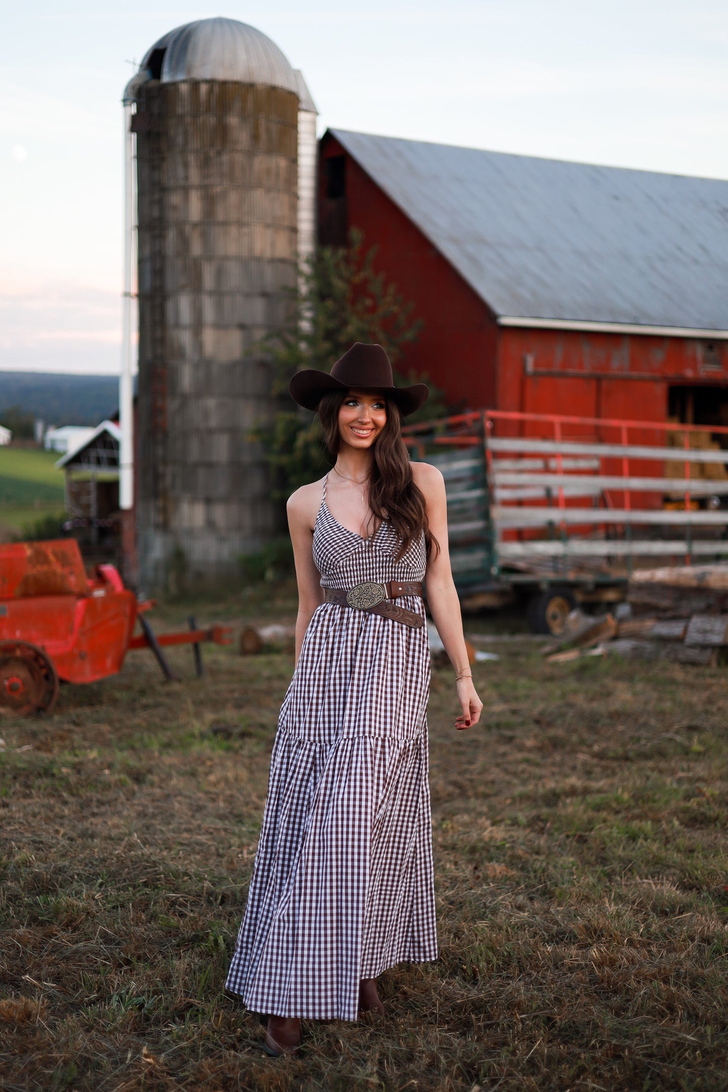 Jackson Gingham Maxi Dress - Brown