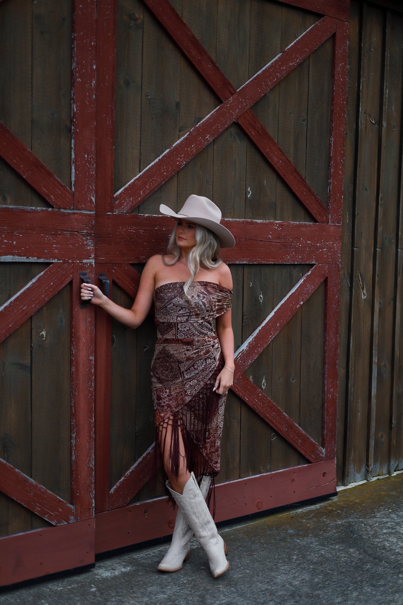 Reverie Fringe Dress
