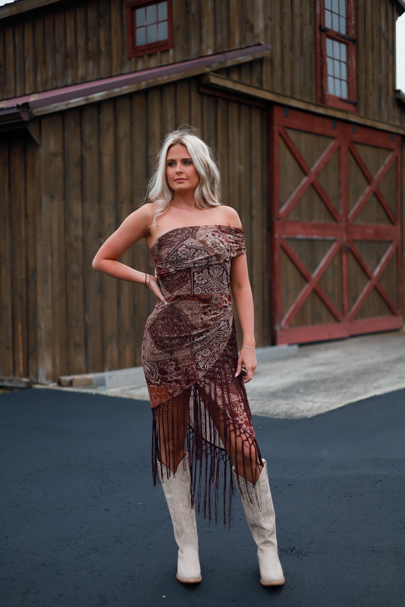 Reverie Fringe Dress