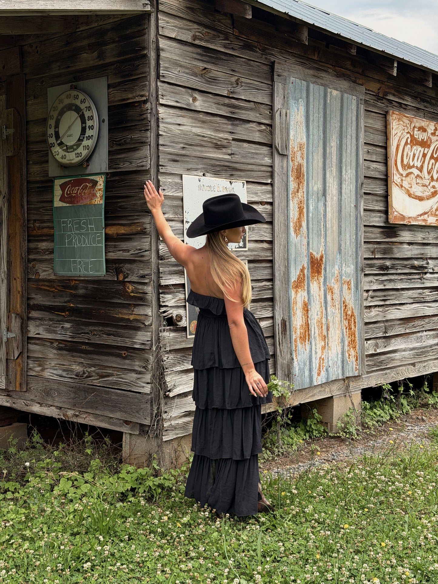 Meadow Muse Ruffle Dress - Black