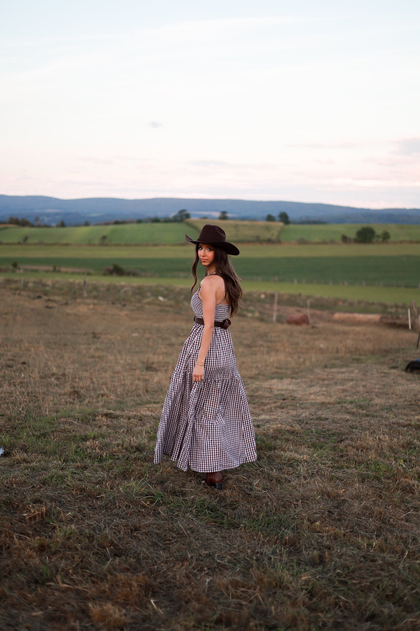 Jackson Gingham Maxi Dress - Brown