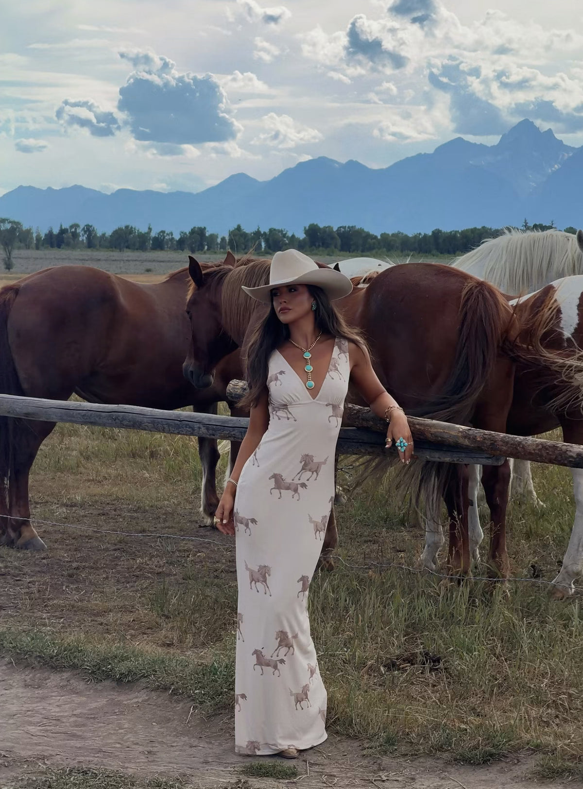 Buckskin Horse Dress