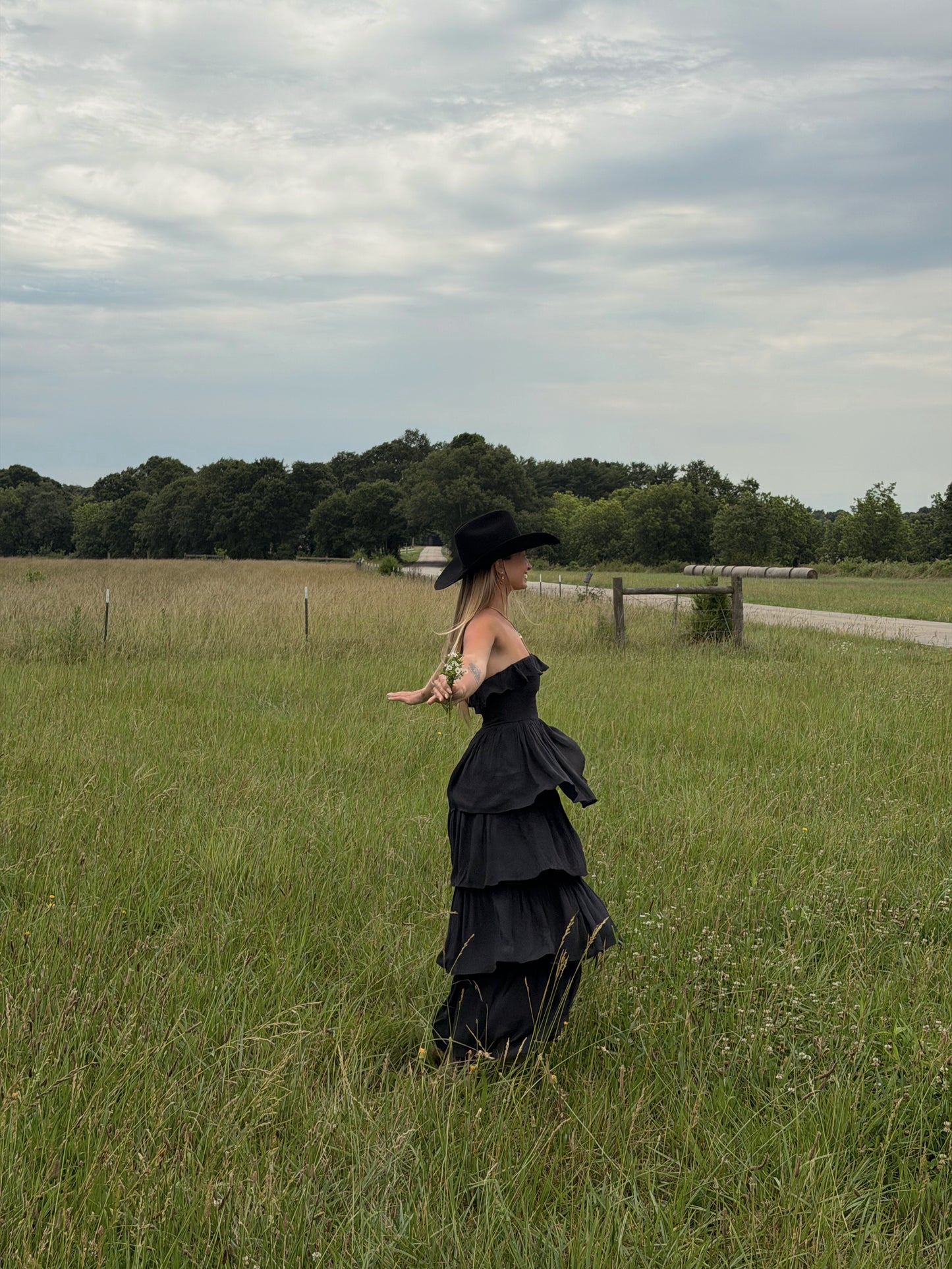 Meadow Muse Ruffle Dress - Black