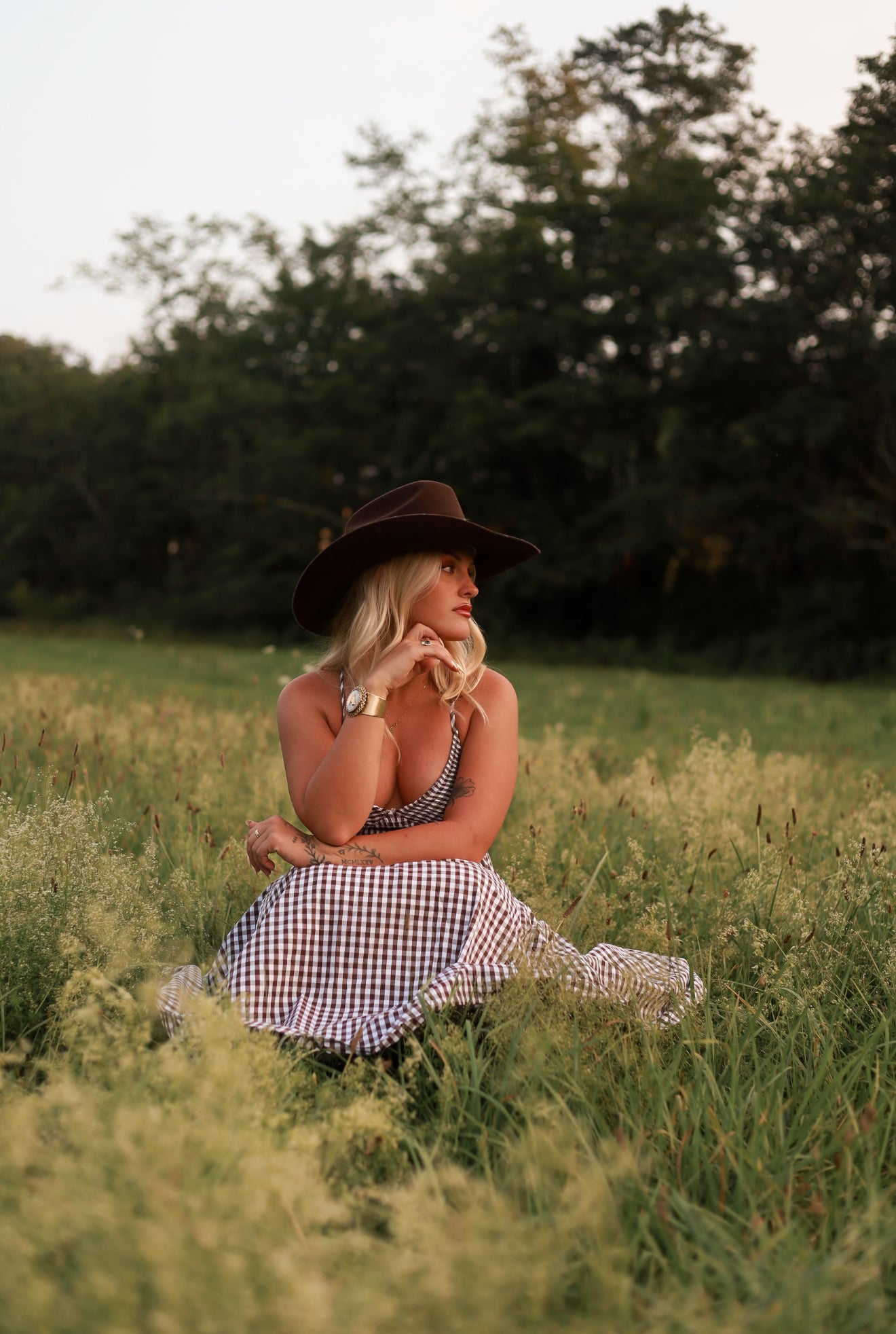 Jackson Gingham Maxi Dress - Brown