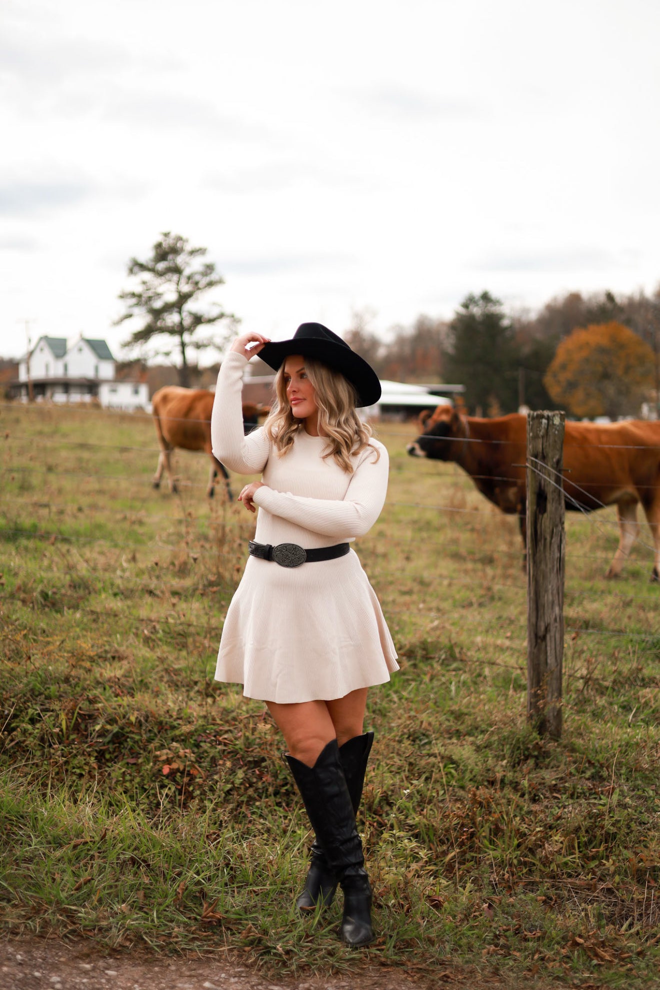 Whispering Wheat Sweater Dress