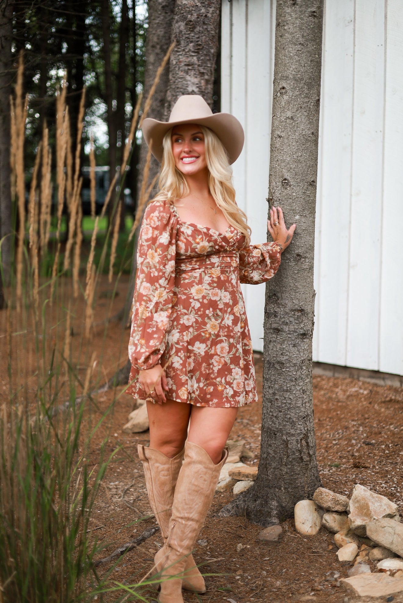 Cinnamon Rose Mini Dress