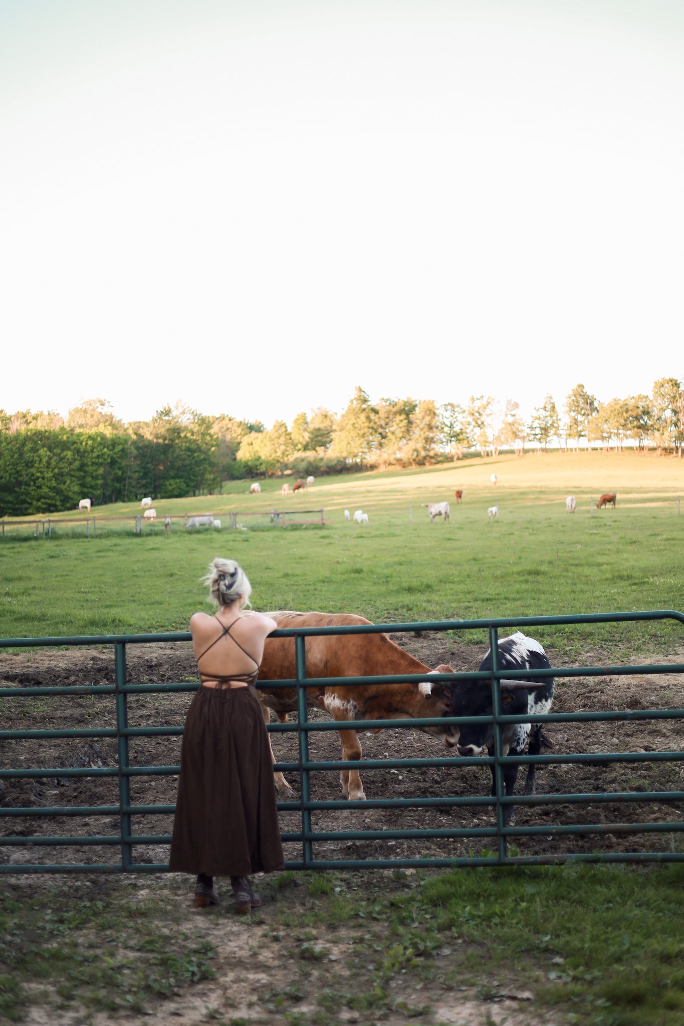 Homestead Gingham Maxi Dress - Brown
