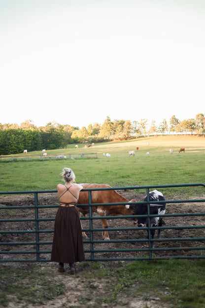 Homestead Gingham Maxi Dress - Brown