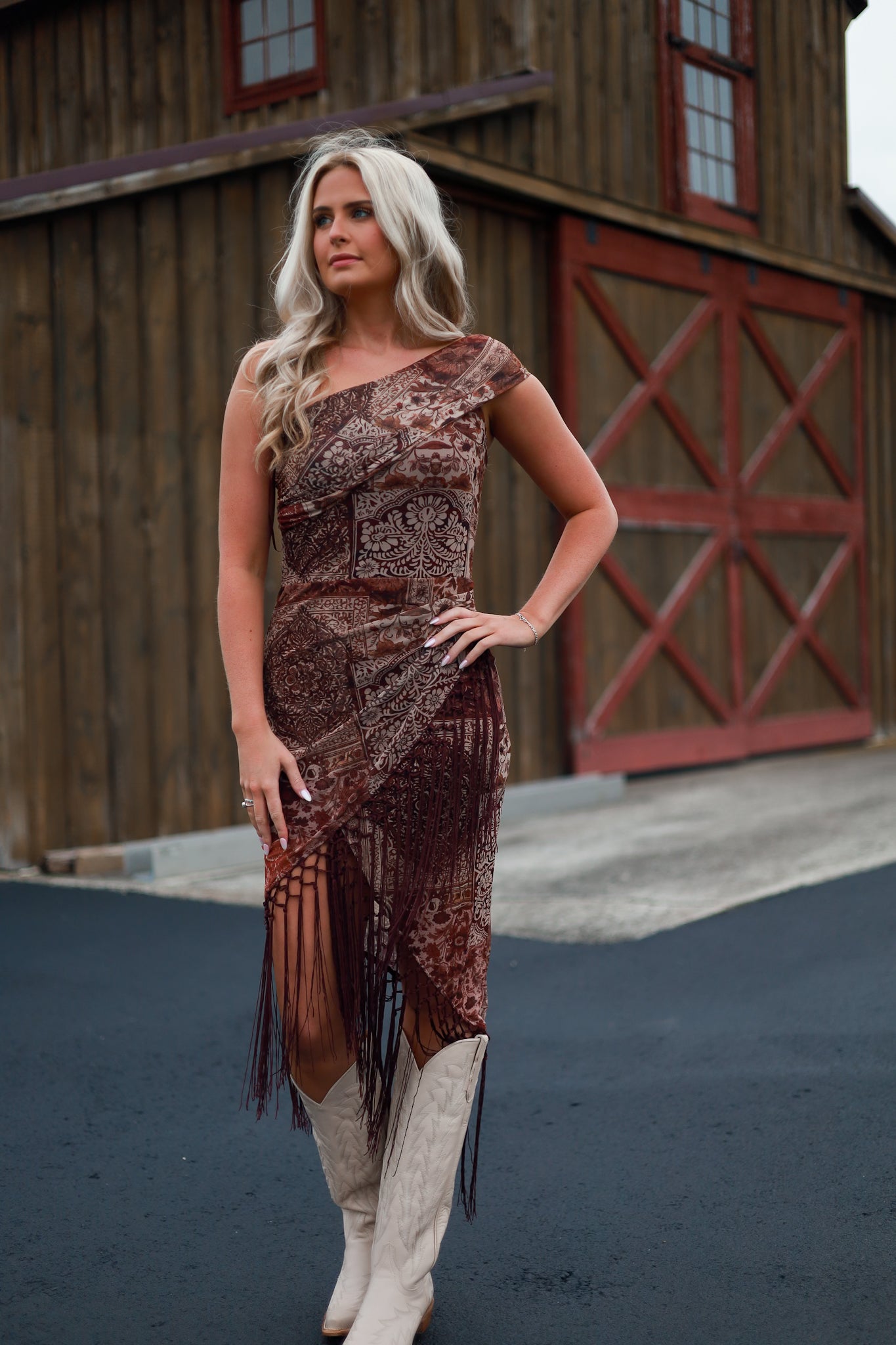 Reverie Fringe Dress