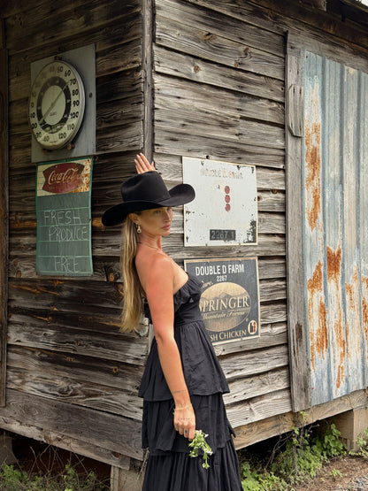 Meadow Muse Ruffle Dress - Black