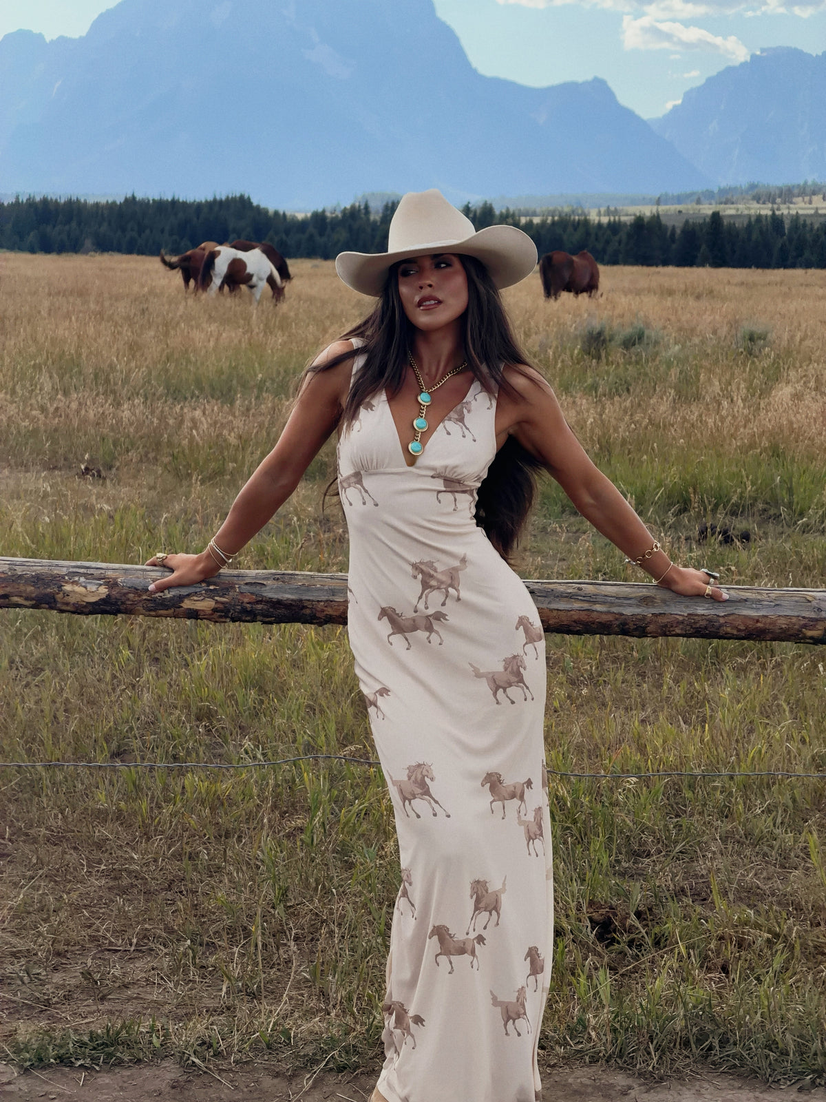 Buckskin Horse Dress