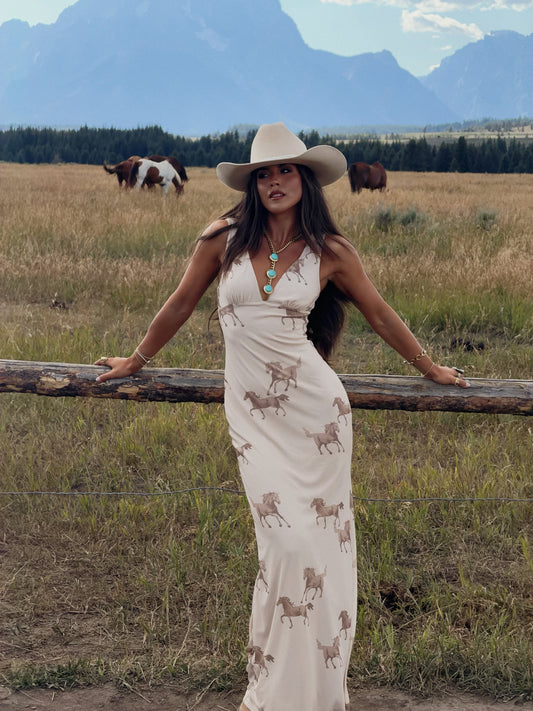 Buckskin Horse Dress