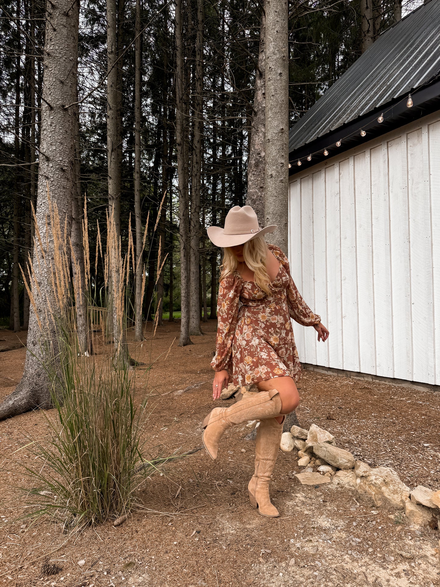 Cinnamon Rose Mini Dress