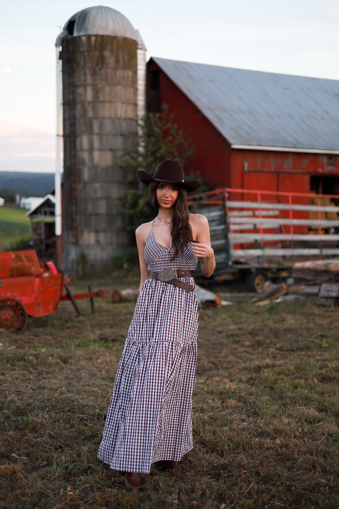 Jackson Gingham Maxi Dress - Brown