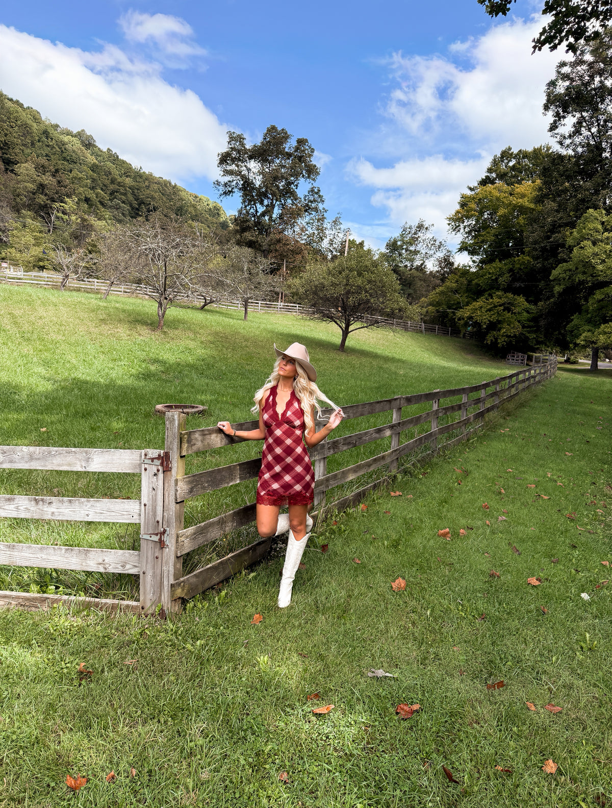 Cider Mini Dress