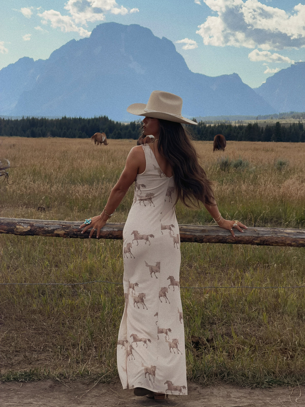 Buckskin Horse Dress
