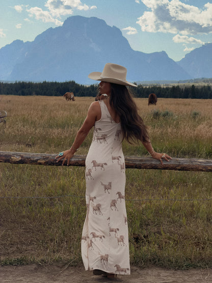 Buckskin Horse Dress